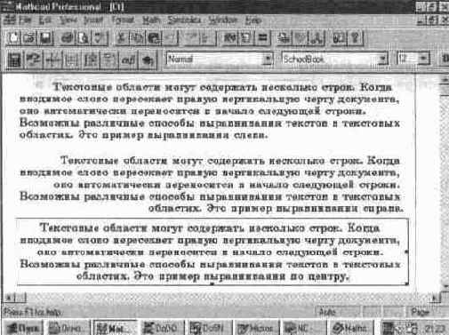    (Paragraph...)