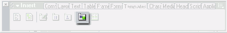  Editable Optional Region  