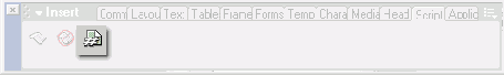  ServerSide Include  